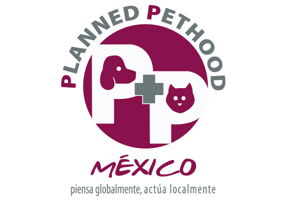 Sam's Club samsclub samsbenefits hazte socio cine viajes hot deals restaurantes educacion ropa accesorio mascotas salud entretenimiento fitness puntos