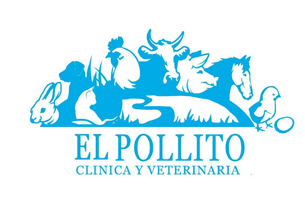 Sam's Club samsclub samsbenefits hazte socio cine viajes hot deals restaurantes educacion ropa accesorio mascotas salud entretenimiento fitness puntos