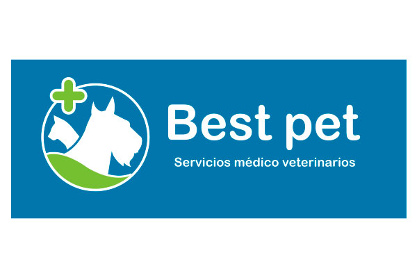 Sam's Club samsclub samsbenefits hazte socio cine viajes hot deals restaurantes educacion ropa accesorio mascotas salud entretenimiento fitness puntos