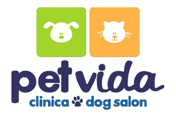 Sam's Club samsclub samsbenefits hazte socio cine viajes hot deals restaurantes educacion ropa accesorio mascotas salud entretenimiento fitness puntos