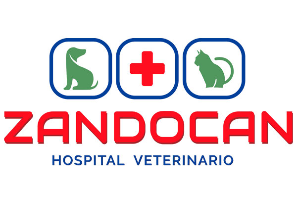 Sam's Club samsclub samsbenefits hazte socio cine viajes hot deals restaurantes educacion ropa accesorio mascotas salud entretenimiento fitness puntos