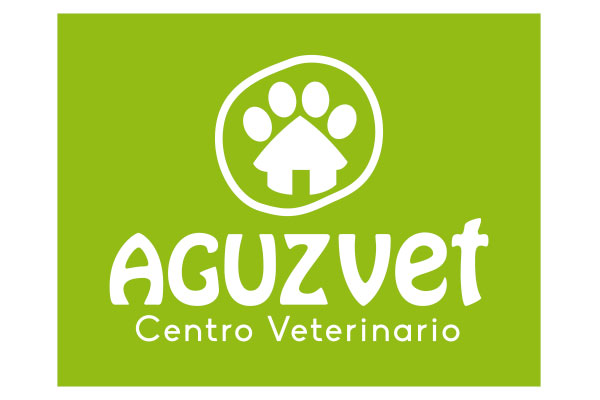 Sam's Club samsclub samsbenefits hazte socio cine viajes hot deals restaurantes educacion ropa accesorio mascotas salud entretenimiento fitness puntos