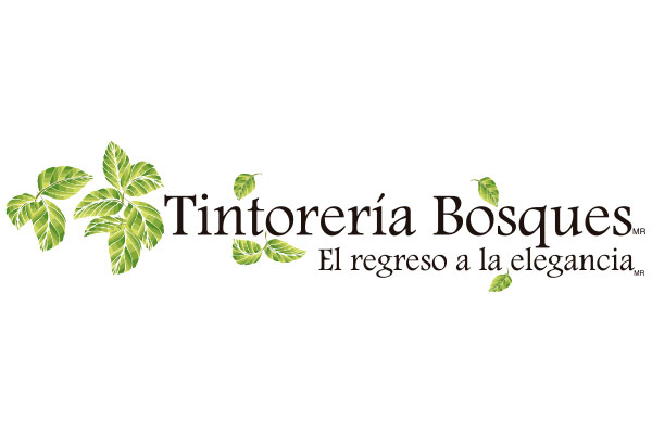 Tintorería Bosques