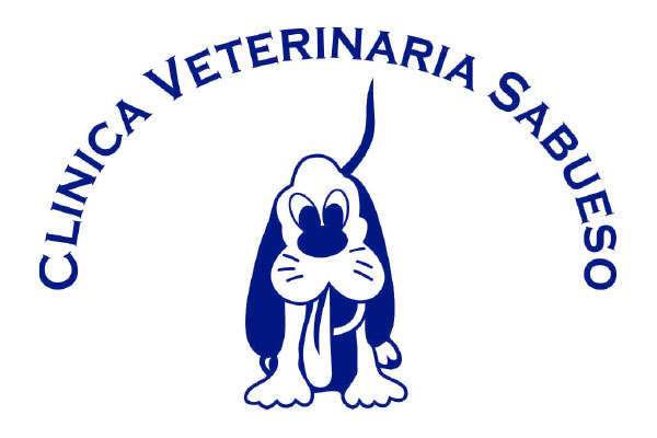 Sam's Club samsclub samsbenefits hazte socio cine viajes hot deals restaurantes educacion ropa accesorio mascotas salud entretenimiento fitness puntos