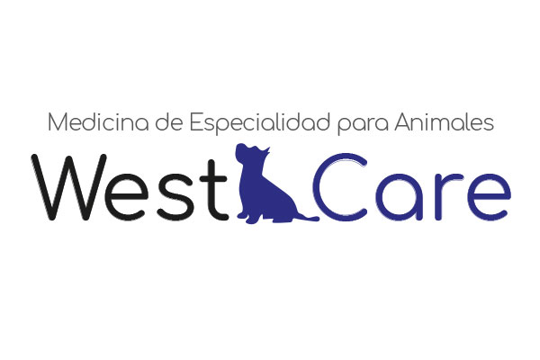 Sam's Club samsclub samsbenefits hazte socio cine viajes hot deals restaurantes educacion ropa accesorio mascotas salud entretenimiento fitness puntos