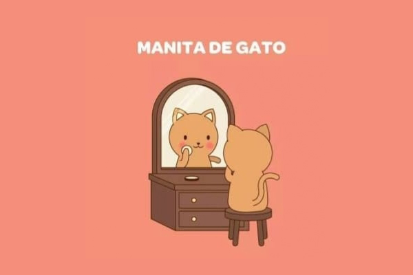 Sam's Club samsclub samsbenefits hazte socio cine viajes hot deals restaurantes educacion ropa accesorio mascotas salud entretenimiento fitness puntos