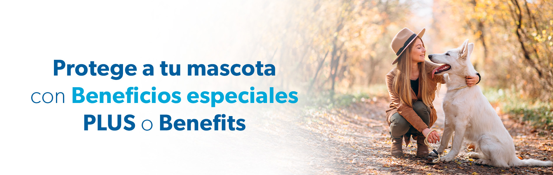 Sam's Club samsclub samsbenefits hazte solcio cine viajes hot deals restaurantes educacion ropa accesorio mascotas salud entretenimiento fitness puntos